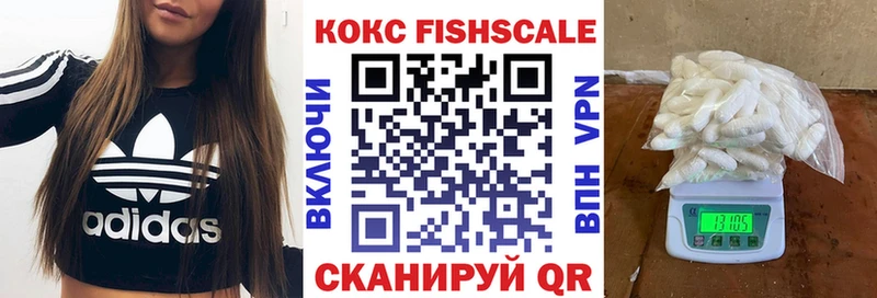 КОКАИН Fish Scale  Купить закладки  Суздаль 