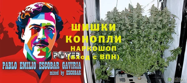 эйфоретик Нязепетровск