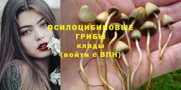 каннабис Няндома