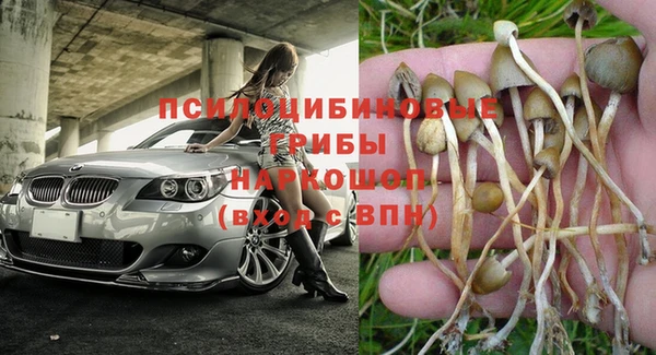 эйфоретик Нязепетровск